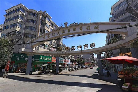 实验中小学正大城市花园3室2厅2卫精装储藏室车位